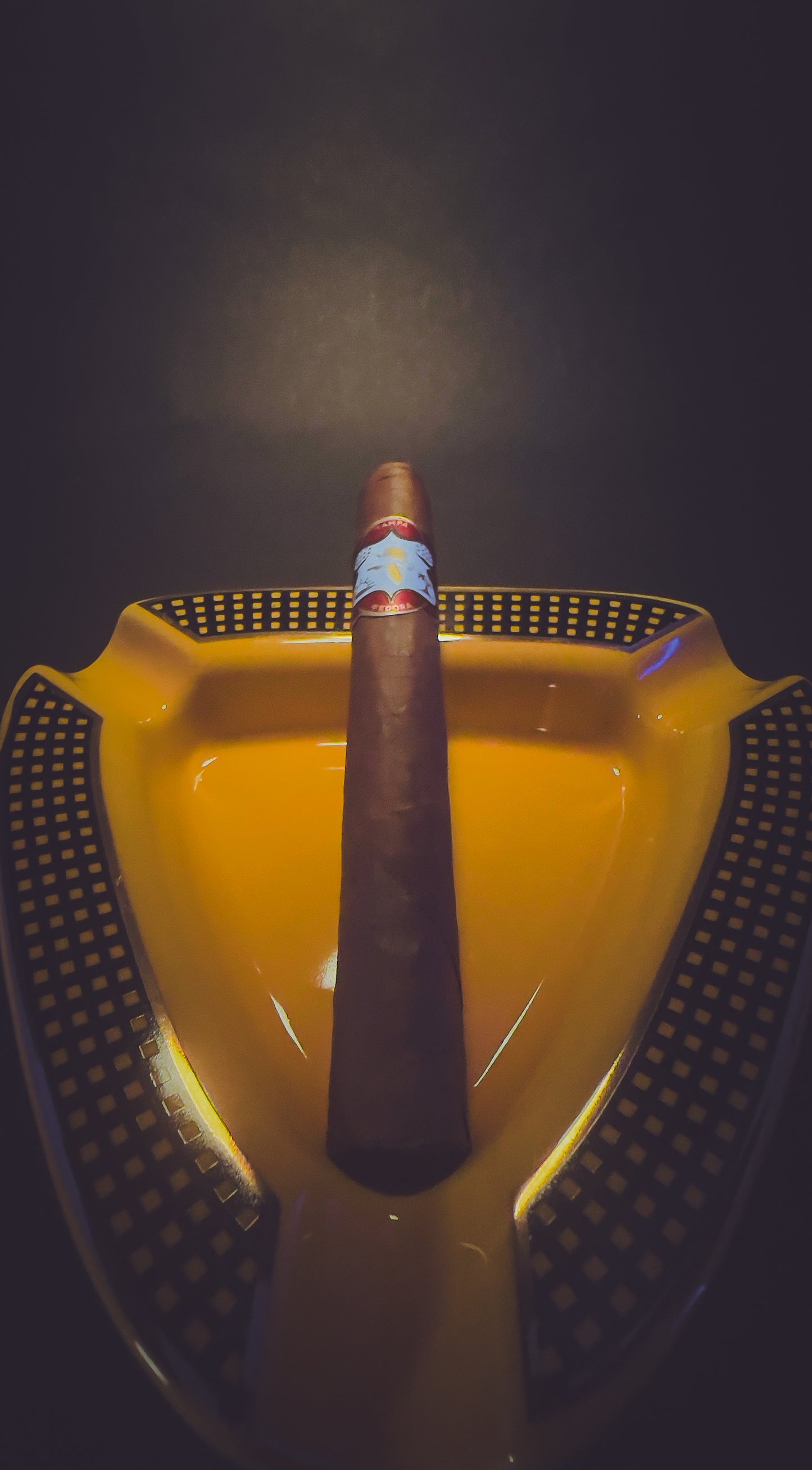 Cameron - Single Cigar