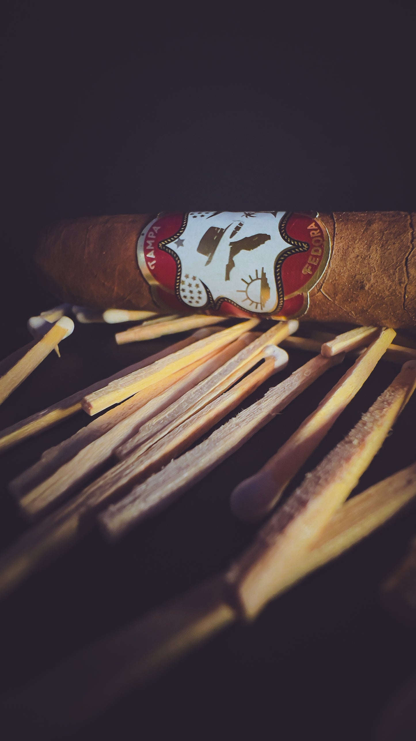 Cameron - 20 Cigars + 5 Free Bundle